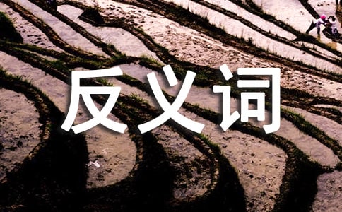 ���_�ķ��x�~���x�~��ʲô