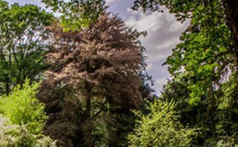 �L����(y��u)�����ӅR��58�l