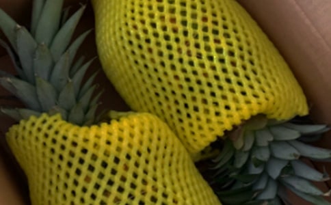 �P���F�m���B(y��ng)ֳ����