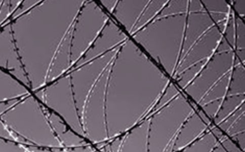 ��F�����ӟ����x���500��