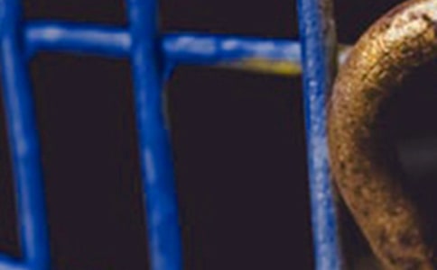 �P(gu��n)�ڡ���F����ô���ɵġ����x���1000��