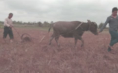 �һ�Դ��ɸ���ȫԊ��˼