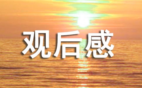 2023《滿江紅》的觀后感400字(通用10篇)