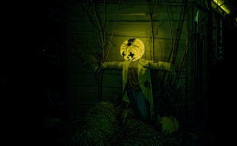 鬼屋作文400字九篇