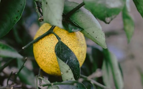 ������}�r(n��ng)����@�uһ�u�̰�