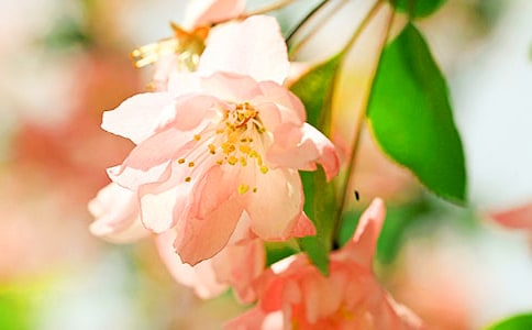 ͬ��݅�xδ�_����ԭ�ķ��g���p��4ƪ