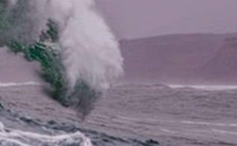 《海嘯黑鏡頭》讀后感