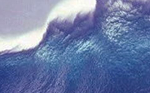 海嘯作文600字(精選15篇)