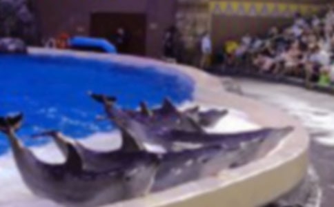 �{ɫ�ĺ����u�x��У�ͨ��33ƪ��