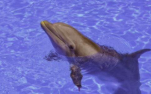 ���{(l��n)ɫ�ĺ����u���x���_1000��