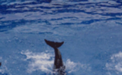 ���{(l��n)ɫ�ĺ����u�����꼉(j��)�W(xu��)���x���