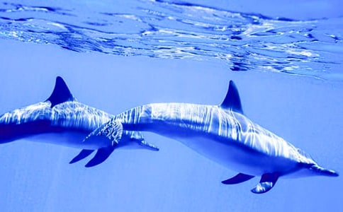 ���{(l��n)ɫ�����u���x��з��ģ����x40ƪ��