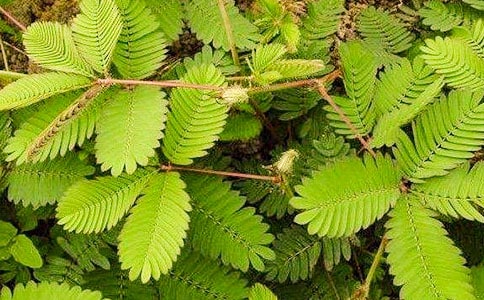 ���߲����ąR��10ƪ