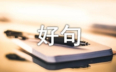 2022年實用的人生感悟好句