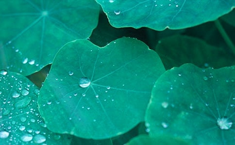 ��̴����~���̰�