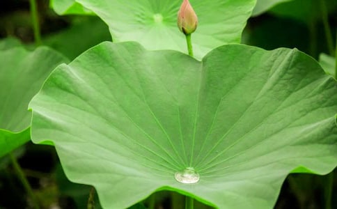 ����Z(y��)���Α�̰������~����