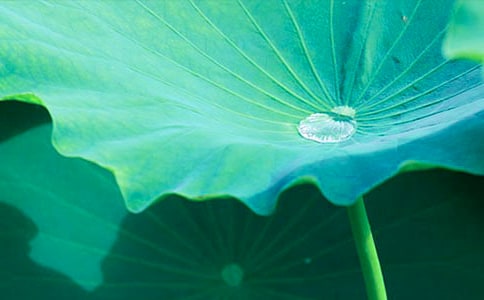 ���~����֪��һ���l��ԭ�ķ��g���p��