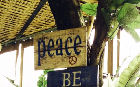 ����ƽ�^(q��)�fȫС�W(xu��)��������