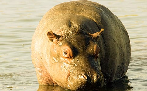 ����(��i)���ֵ�С���R�̰��O(sh��)Ӌ(j��)