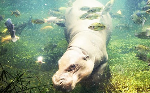 С�ཡ�������ۄ��ֵ�С���R