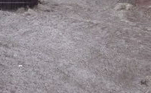 洪水逃生小學(xué)作文