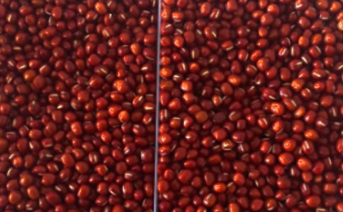 �t���Ҽ��V���Z�������Z��ȫ