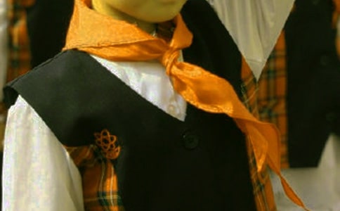 紅領(lǐng)巾看全會活動方案(精選7篇)