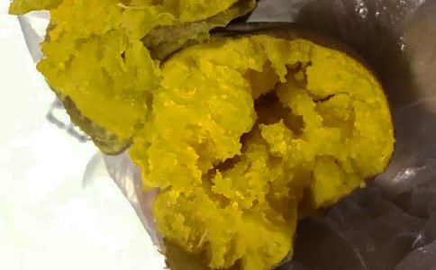 紅薯觀察日記(通用17篇)