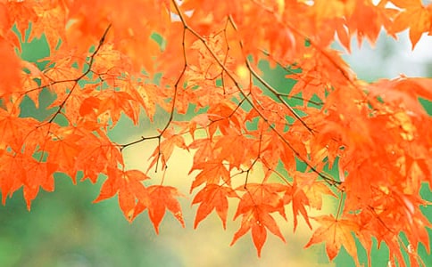 ��(j��)�ϼt�~�Ȍ�(d��o)���~2ƪ