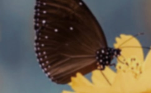 �����~�������x���