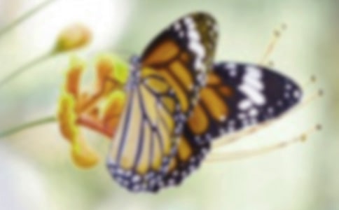 ���h(yu��n)�ĺ����x��з��ģ����x6ƪ��