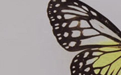 �o��������(hu��)���y�̰�