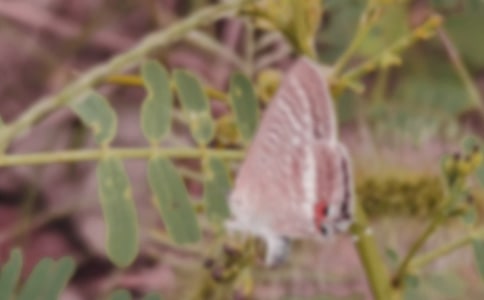 ����Ȫ�����~