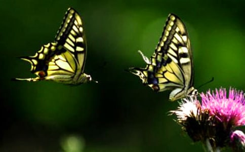 ���Ϻ���Ȫ��(d��o)���~