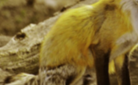 �x���˲���ĺ�؂�ְ֡��и�10ƪ