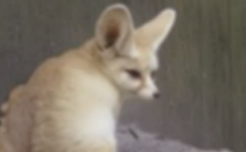 ����x���˲���ĺ�؂�ְ֡��иж��꼉(j��)���ķ���10ƪ