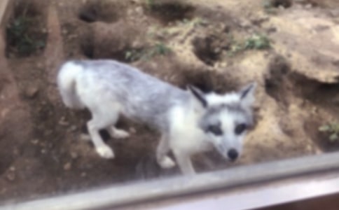 ���˲���ĺ�؂�ְ֡��x��з��ģ�ͨ��8ƪ��