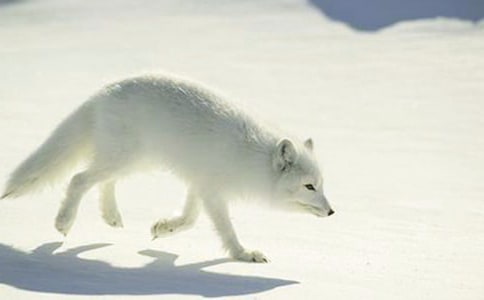 �˲���ĺ�؂�ְփ�(y��u)���x��з��ģ����x7ƪ��