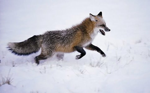 �ٱ���؂�_һ���x���250��_С�W(xu��)������