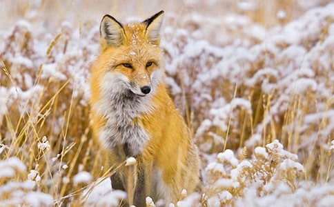 ���˲���ĺ�؂�ְ֡��x���700��