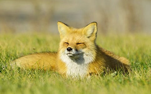 �˲���ĺ�؂�ְ��x���400��-�x���