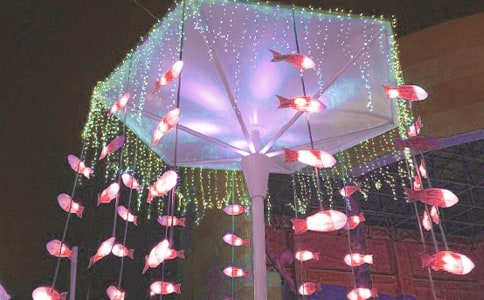 ������С�W���g�̰�