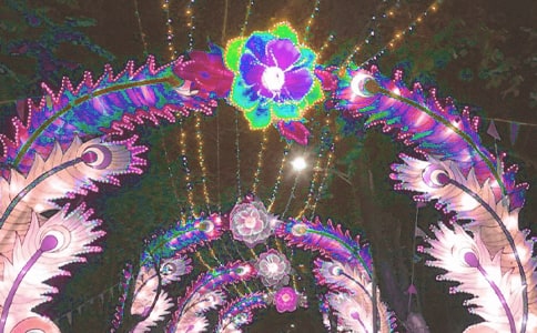 ������g(sh��)��ӣ��໨��