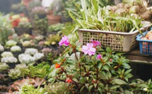 ����V�������İ�