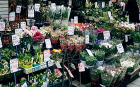 �r�������(hu��)��(sh��)�`���(d��ng)��(b��o)��