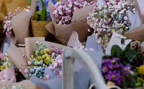 ����520��ӷ�����ͨ��5ƪ��