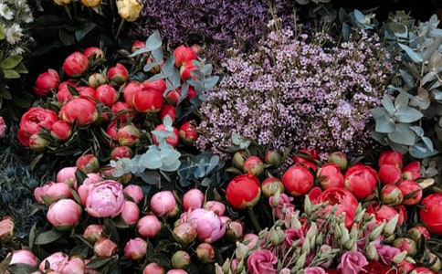 �����(xi��ng)Ŀ?j��)?y��u)��߄���