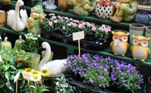 花店經(jīng)營策劃書