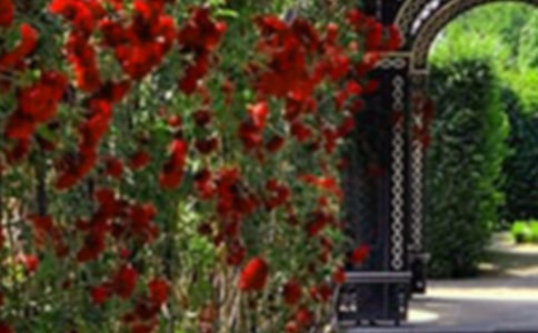 С�����}��(y��u)��̰����̌W(xu��)��˼��С���@��