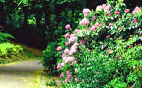 ��ʏ�Ļ��@�x��У�ͨ��9ƪ��